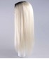 Evil Bride II Adult Women's Wig